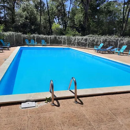 Apartment Neuf Avec Piscine, Balcon, Et Parking - - Fr-1-194-241 *
